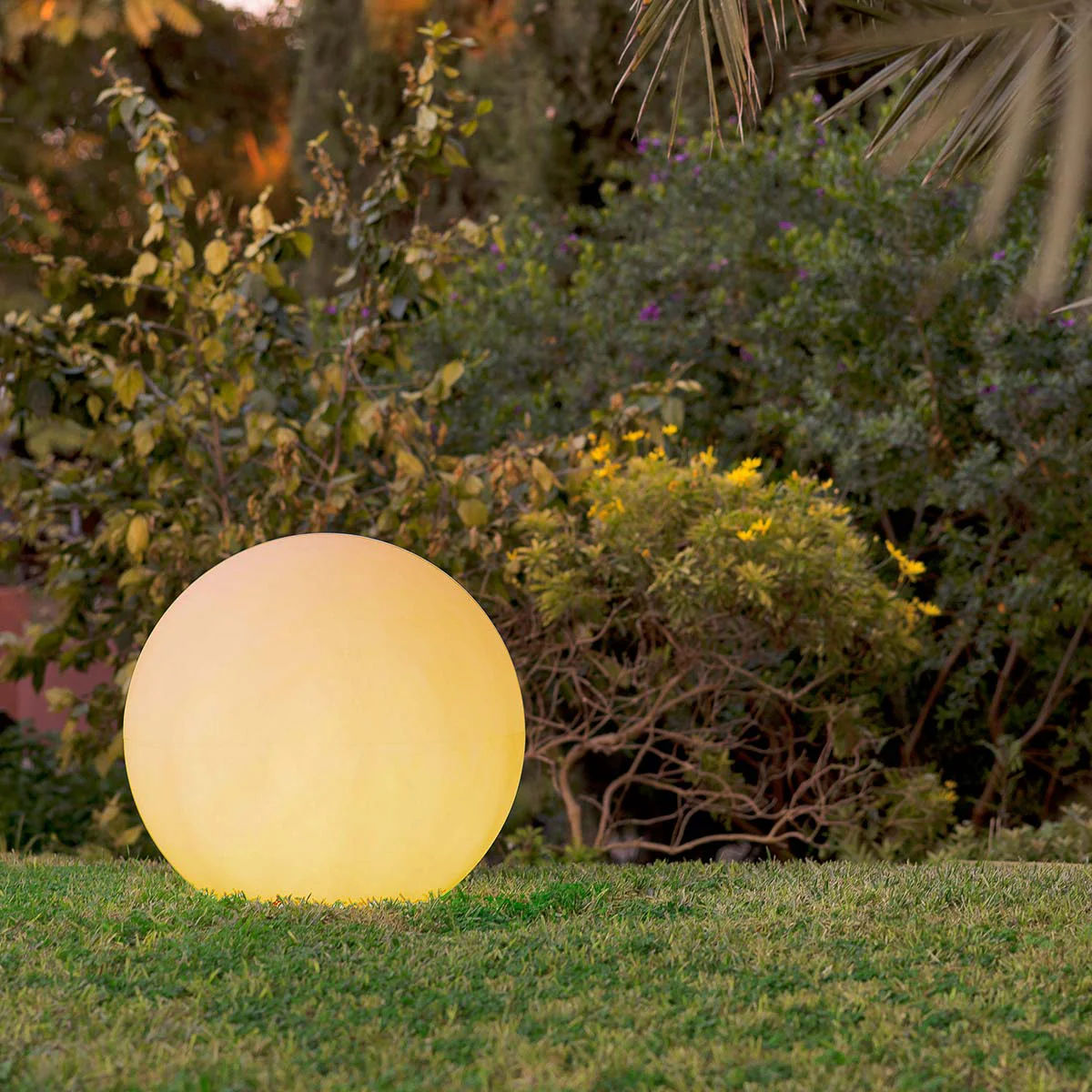 BOLA ILUMINADA BULY (MÚLTIPLES TAMAÑOS) - Image 16