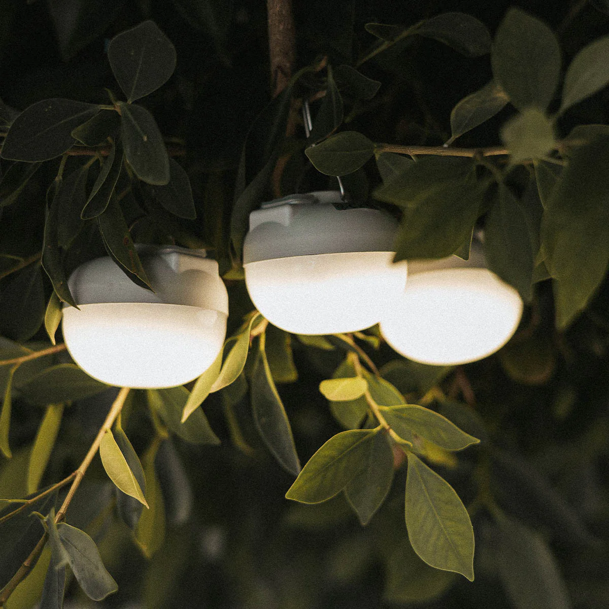 Bombilla portátil recargable CHERRY MINI (Pack 3 bombillas) - Image 7