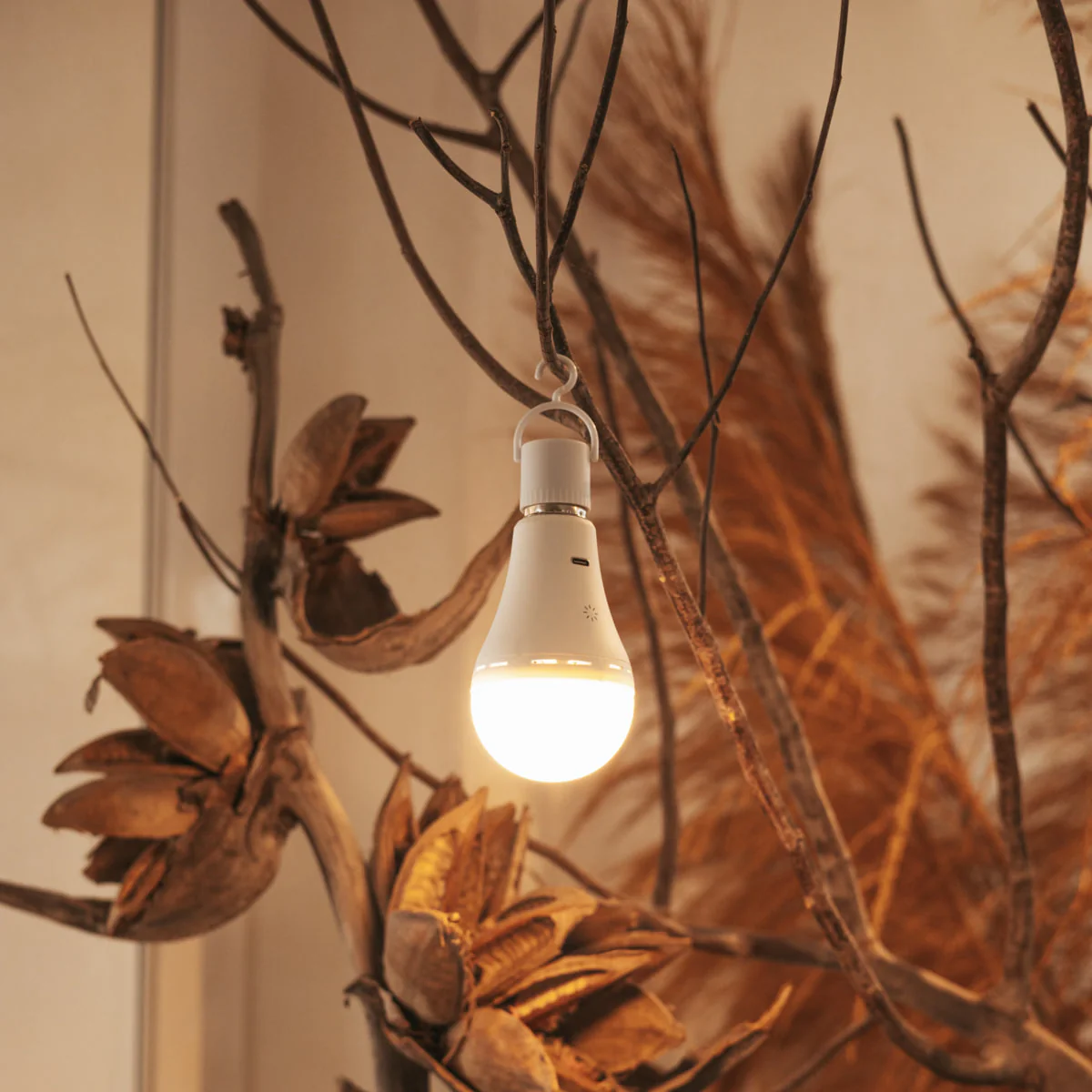 Bombillas recargables