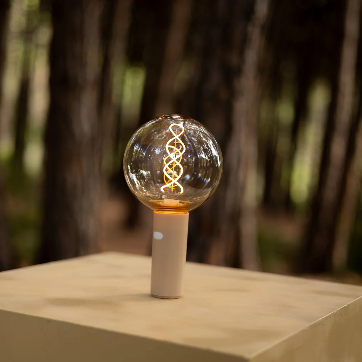 Bombilla vintage portátil sin cables EDY G125 - Image 11