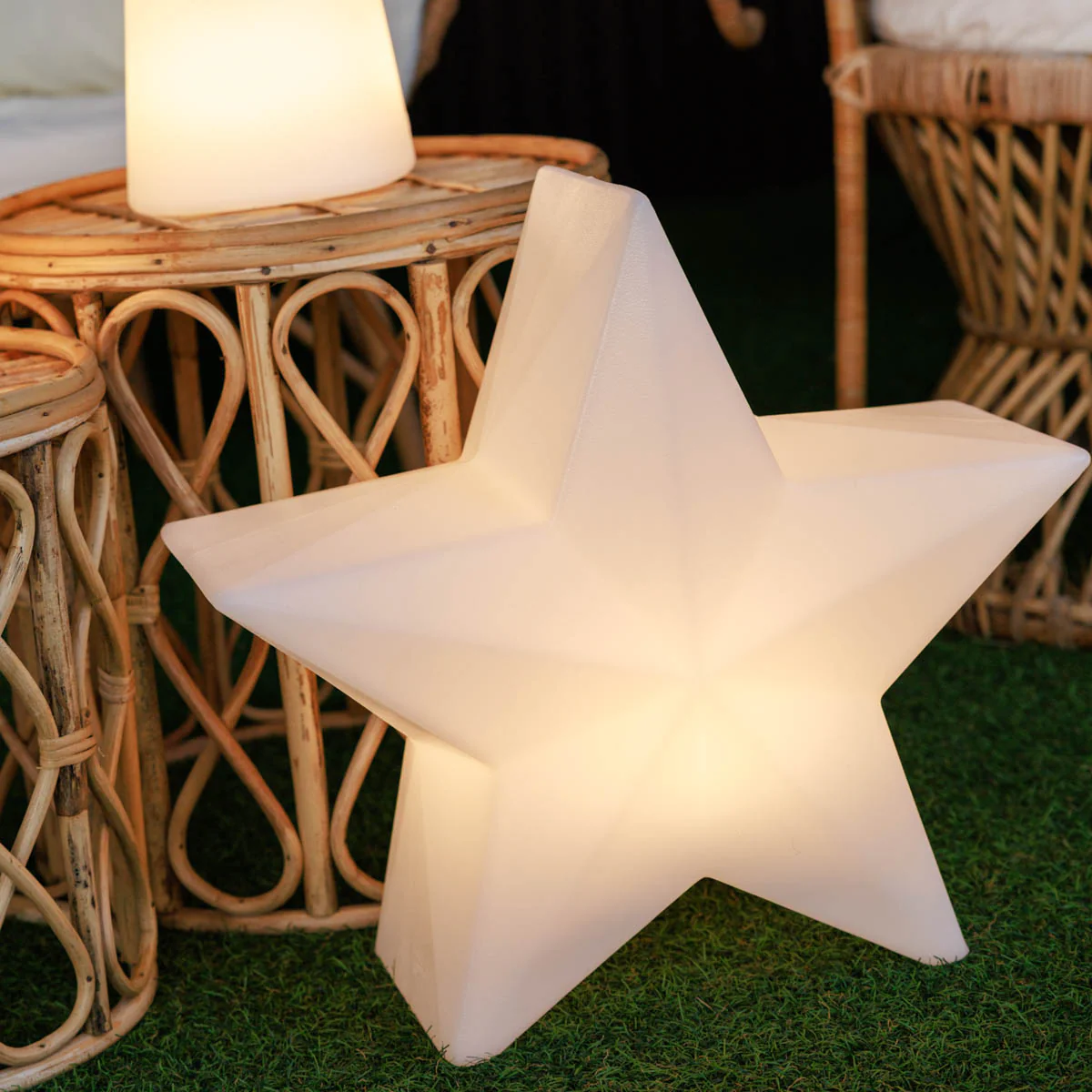 ESTRELLA NAVIDEÑA NOVA 60 - Image 3