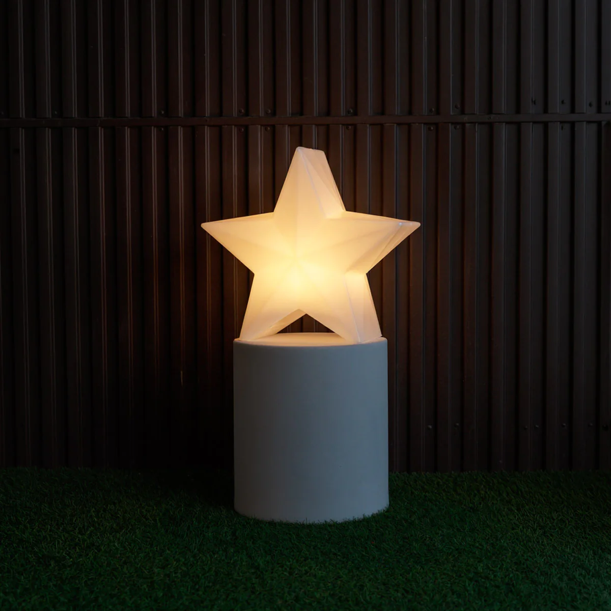 ESTRELLA NAVIDEÑA NOVA 60 - Image 4