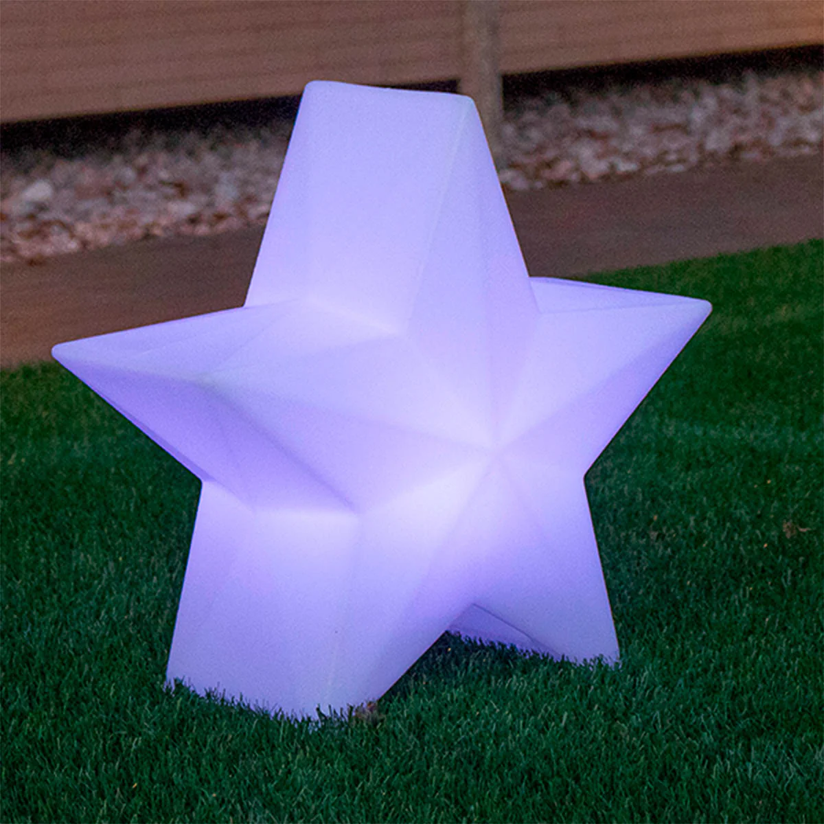 ESTRELLA NAVIDEÑA NOVA 60 - Image 6