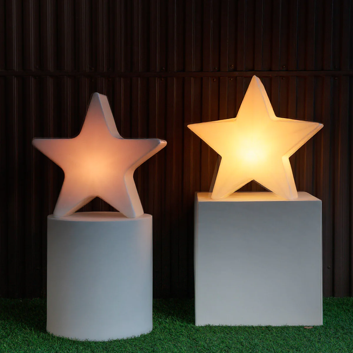 ESTRELLA NAVIDEÑA NOVA 45 - Image 7