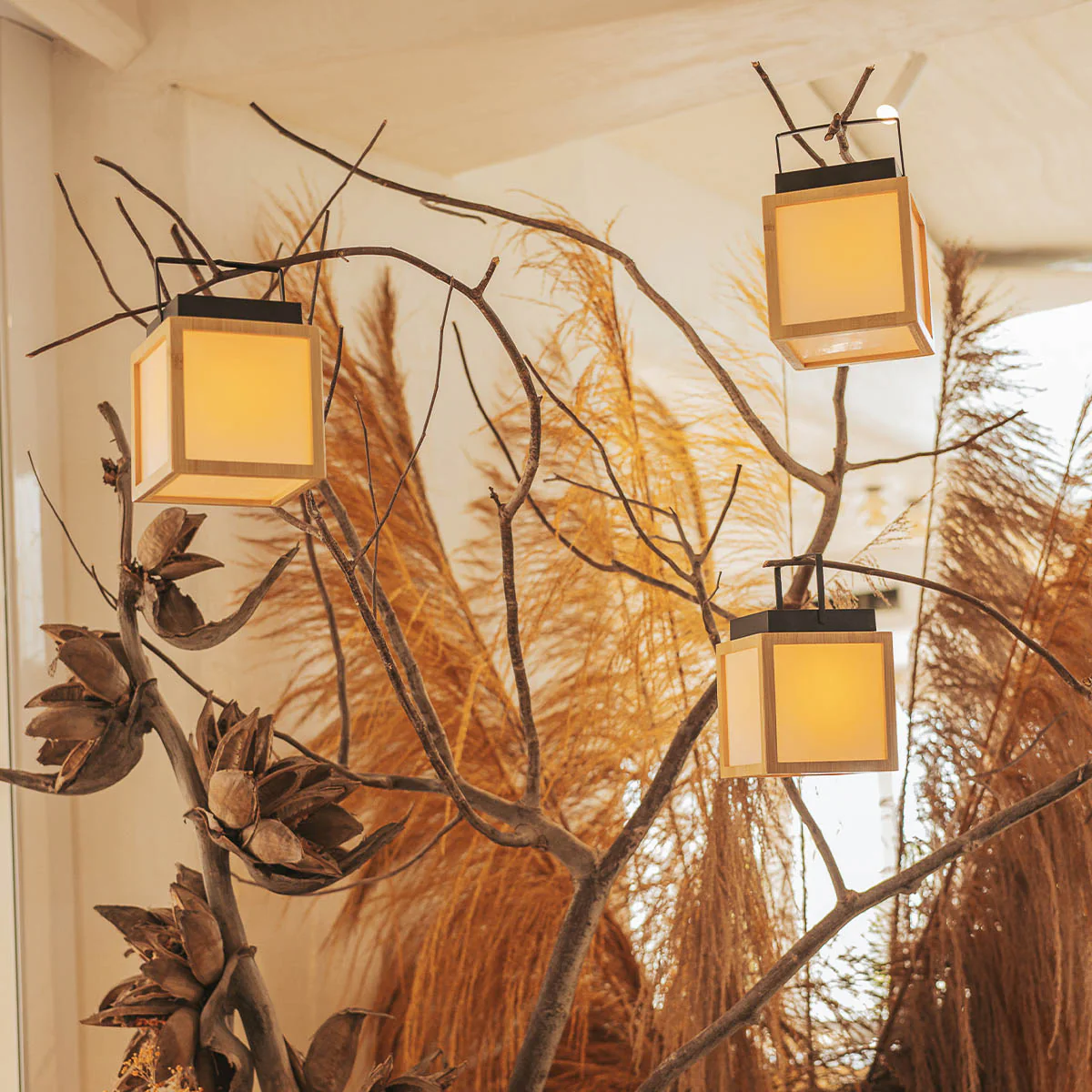 Bombillas recargables de interior