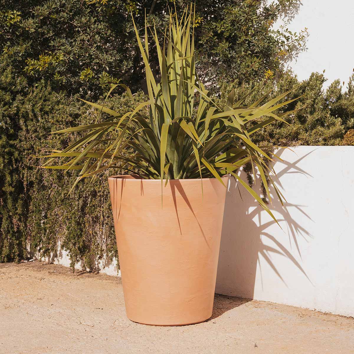 Macetero con acabado rústico GERBERA 50 - Image 4