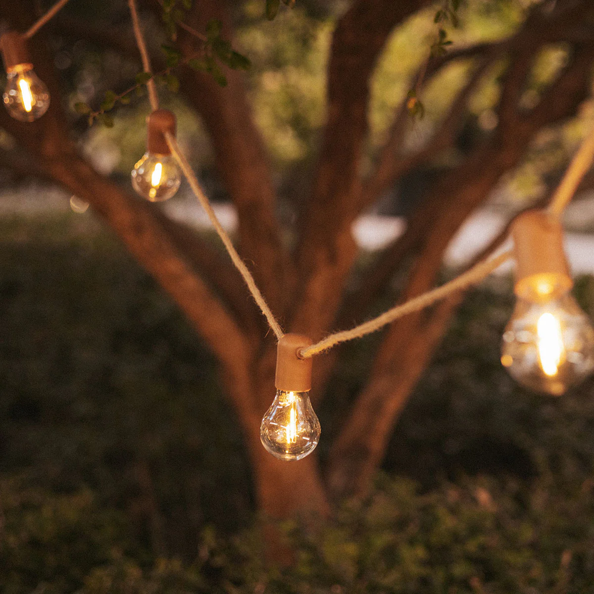 GUIRNALDA DE LUCES ALLEGRA - Image 23