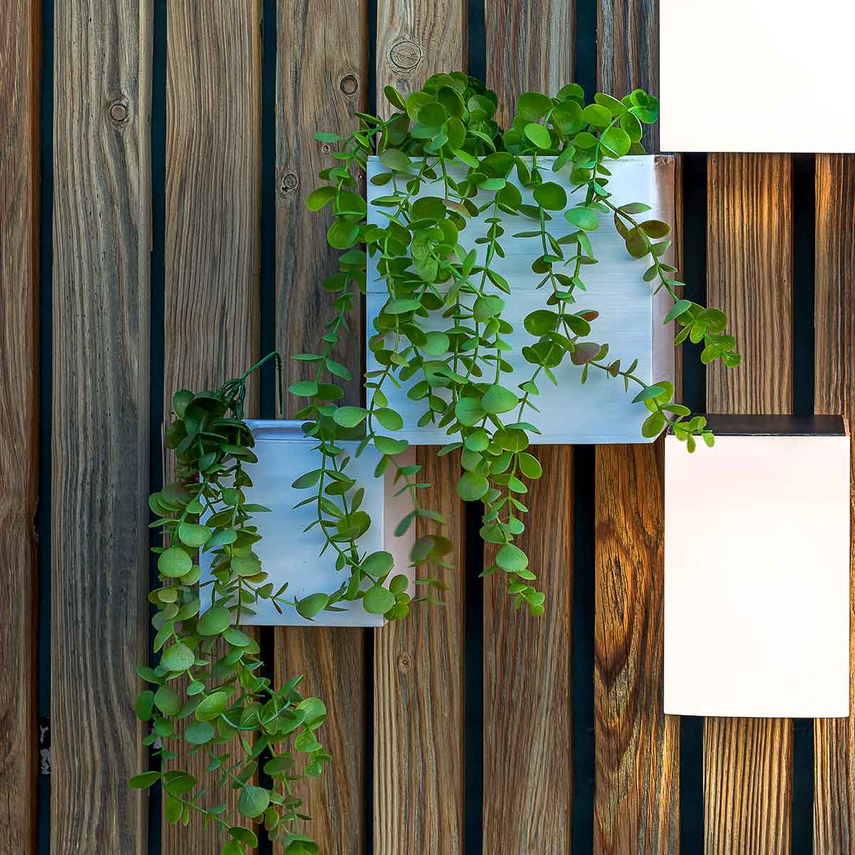 Macetero de pared Wally Pot - Image 10