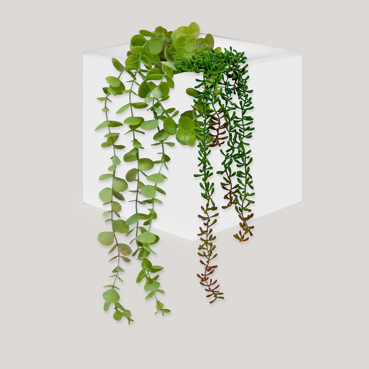 Macetero de pared Wally Pot - Image 11