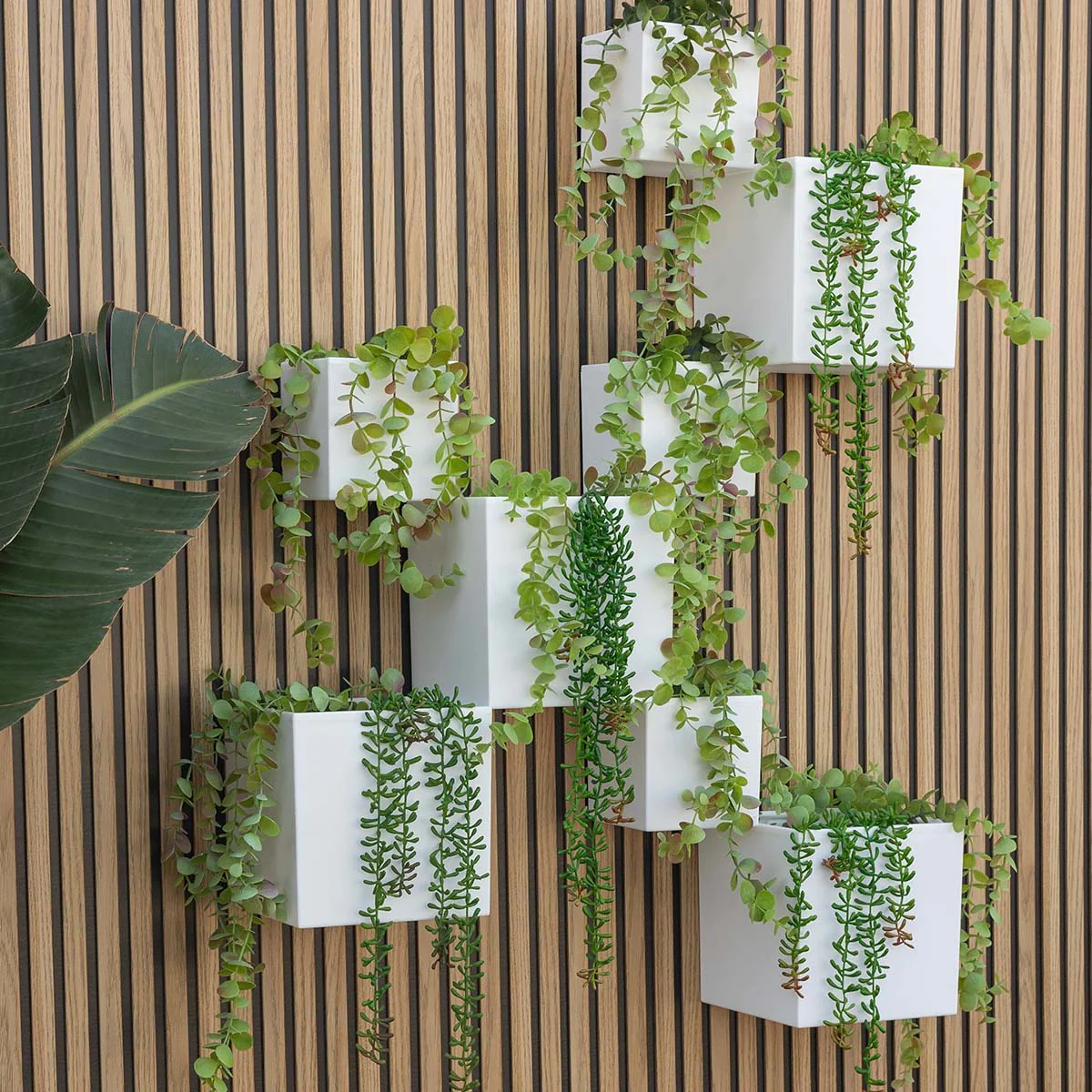 Macetero de pared Wally Pot - Image 3