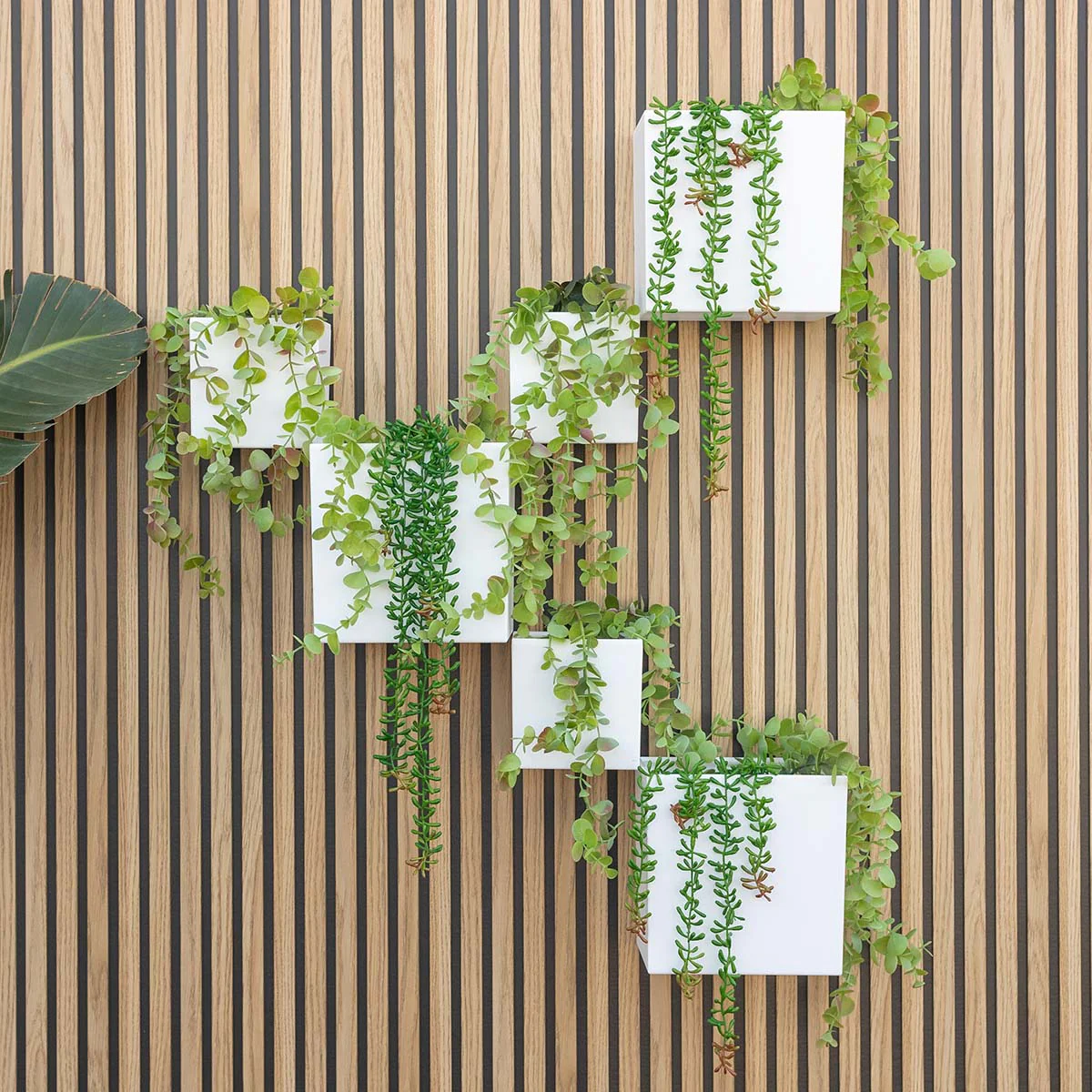 Macetero de pared Wally Pot - Image 4