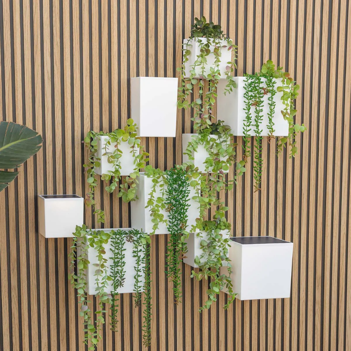 Macetero de pared Wally Pot - Image 5