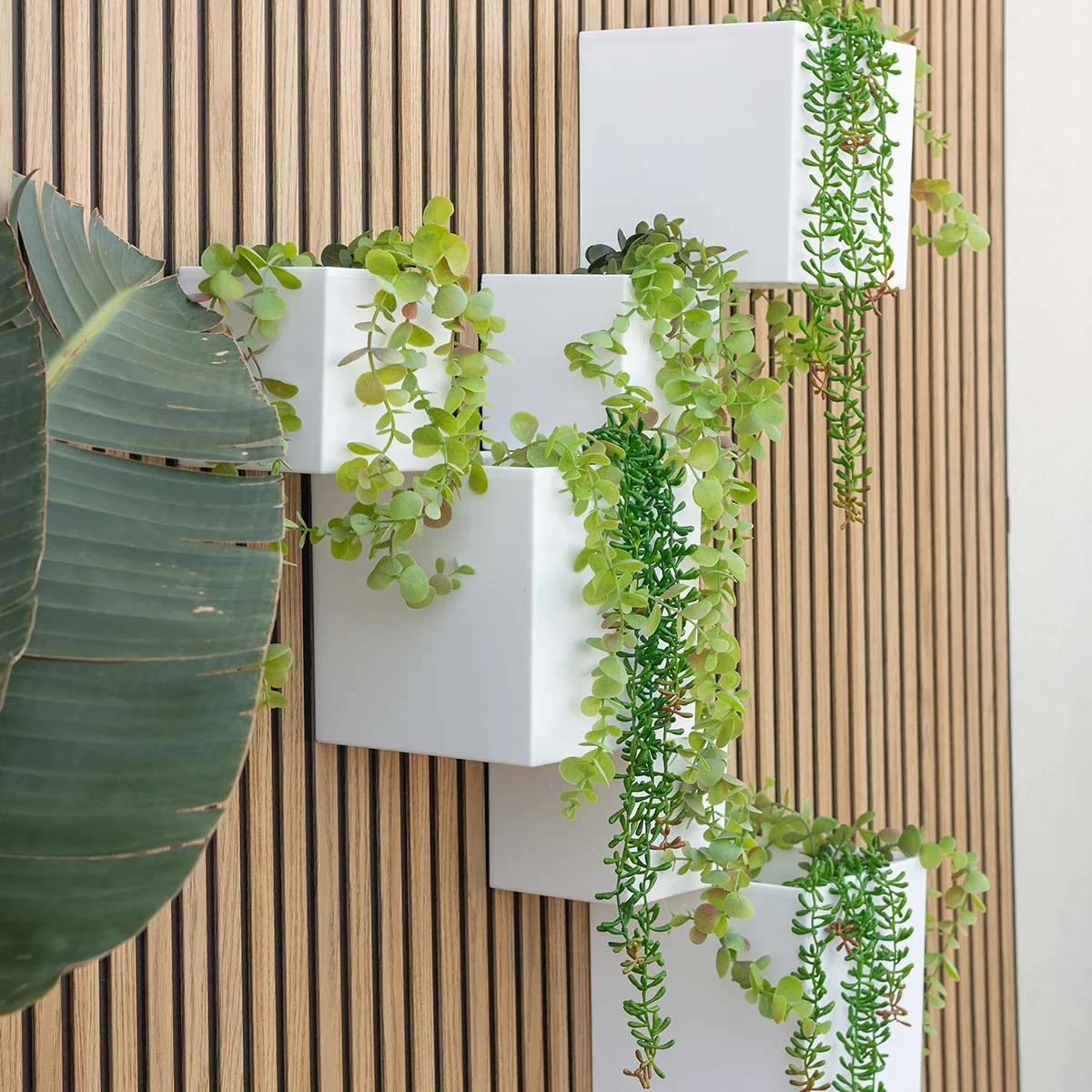 Macetero de pared Wally Pot - Image 6