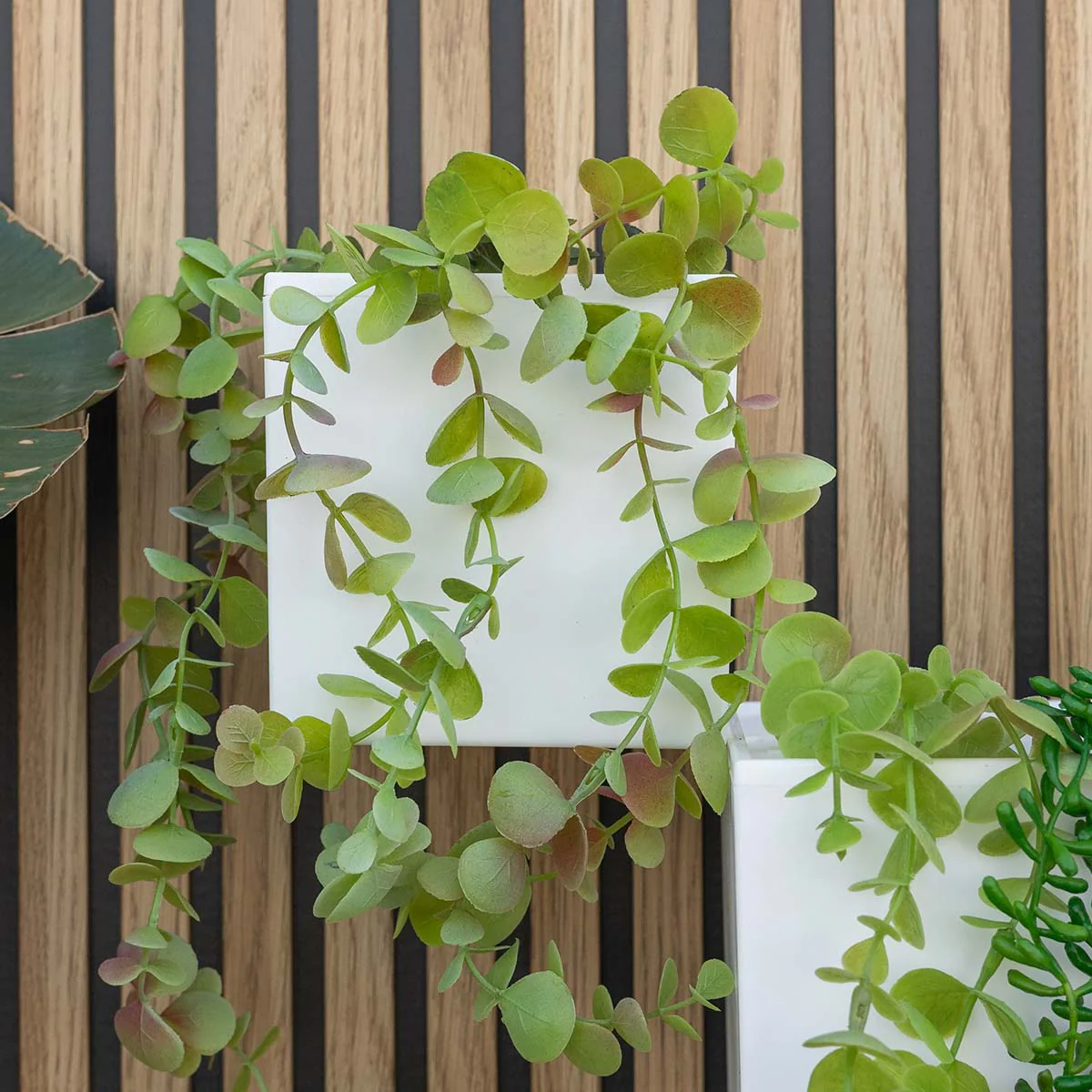 Macetero de pared Wally Pot - Image 7