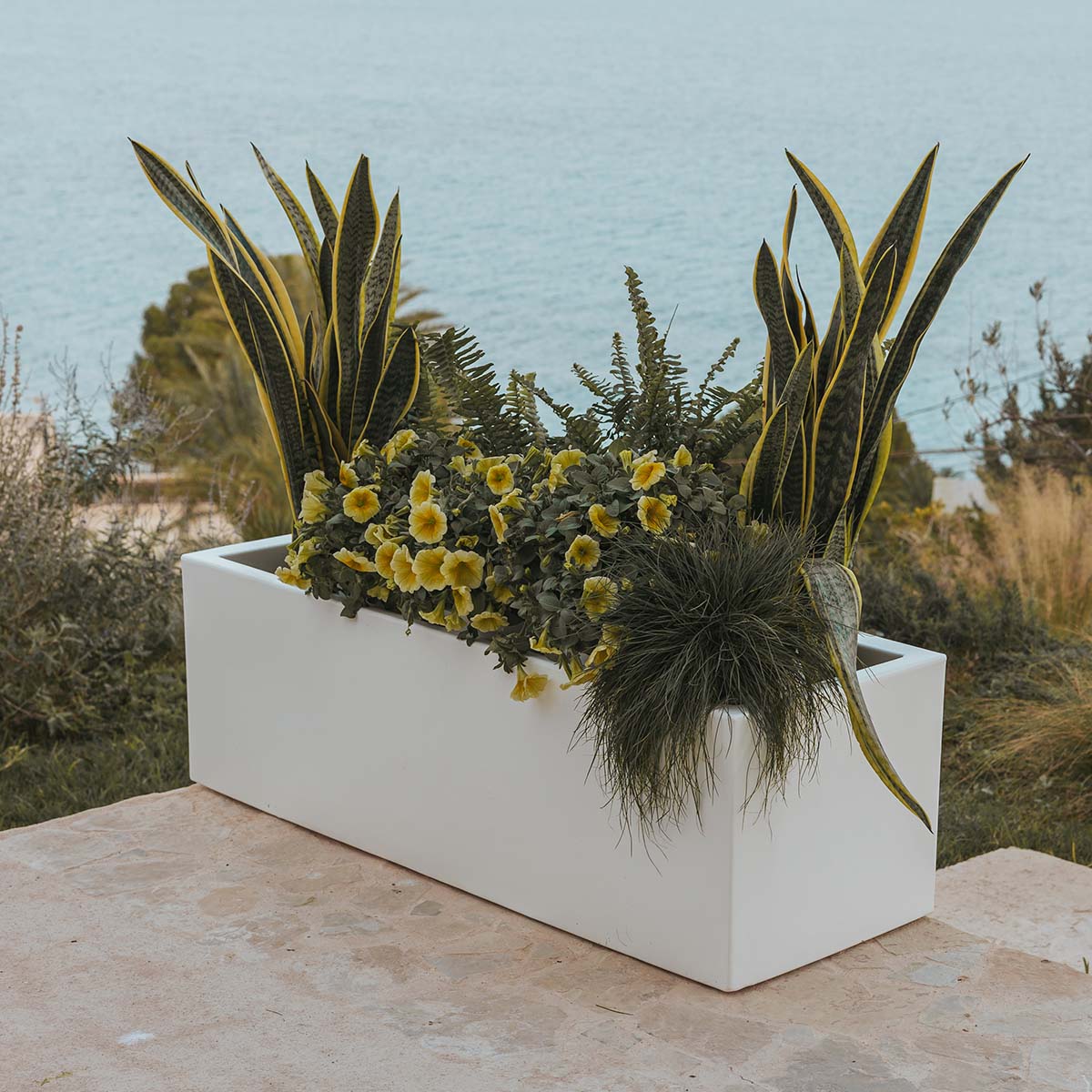 Macetero rectangular JARA 100 x 40 - Image 10