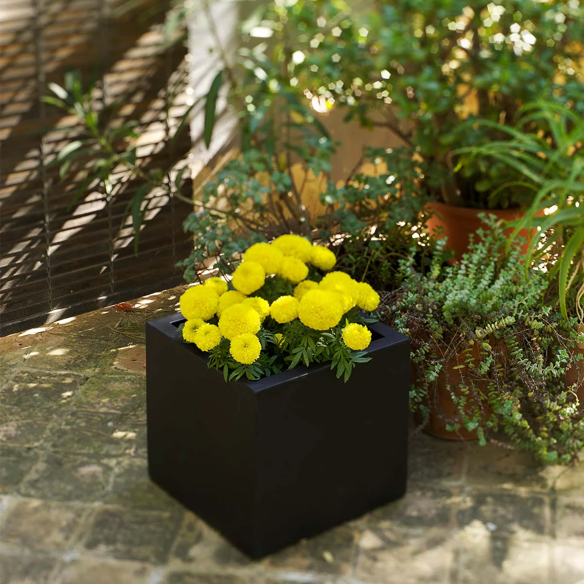 Macetero cuadrado NARCISO 40 - Image 19