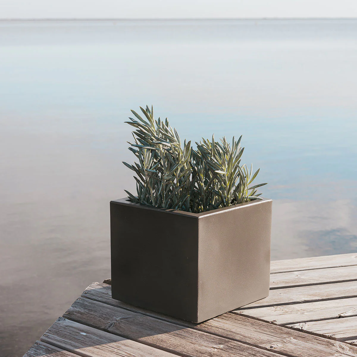 Macetero cuadrado NARCISO 40 - Image 5