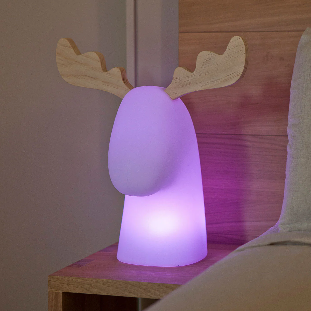 RENO ILUMINADO RUDY - Image 11