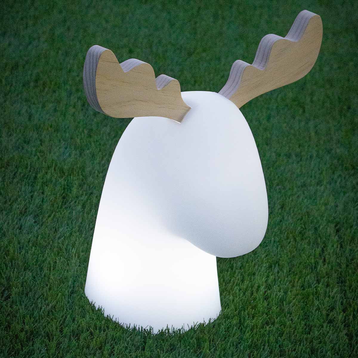 RENO ILUMINADO RUDY - Image 6